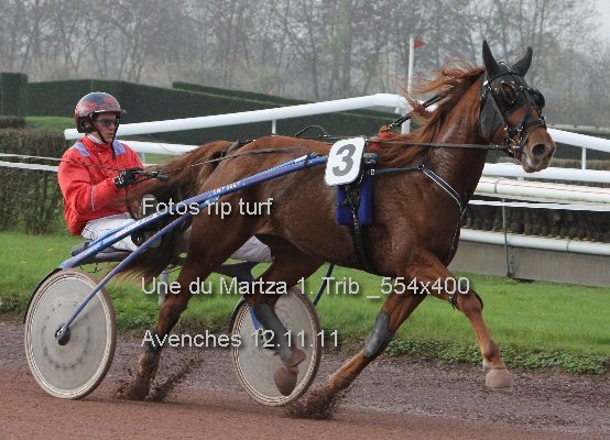 Une du Martza 1. Trib  554x400 prot